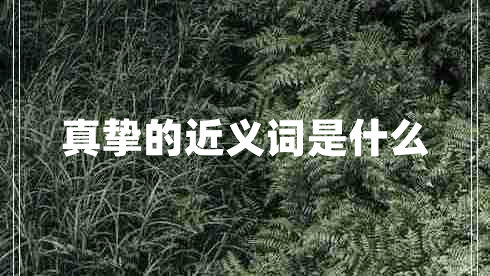 真挚的近义词是什么