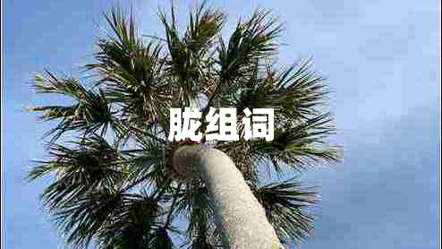 胧组词