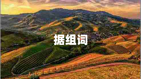 据组词