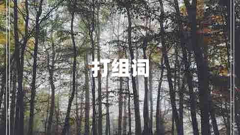 打组词