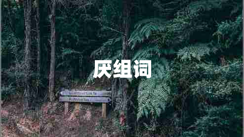 厌组词