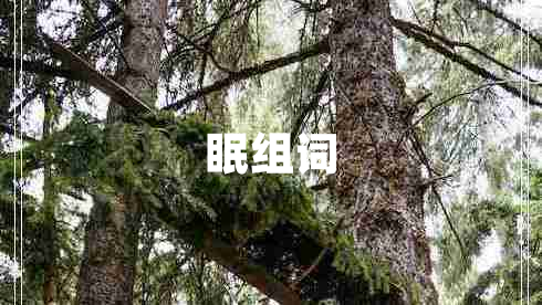 眠组词