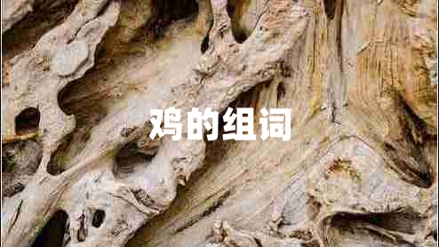 鸡的组词