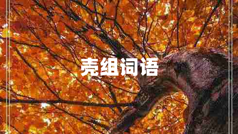 壳组词语