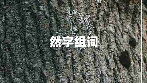 然字组词