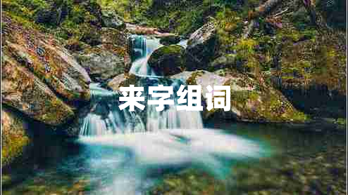 来字组词