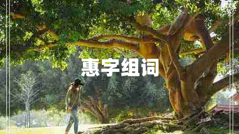 惠字组词