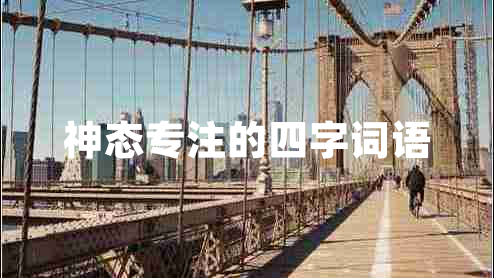 神态专注的四字词语