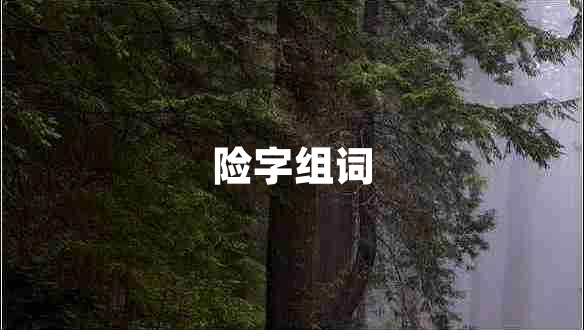 险字组词