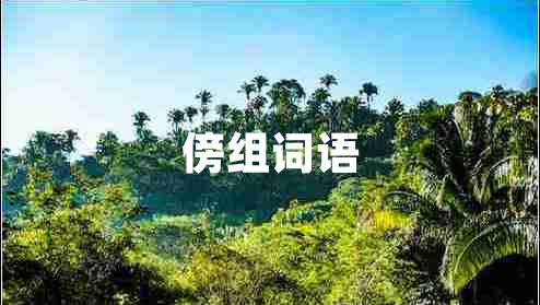 傍组词语