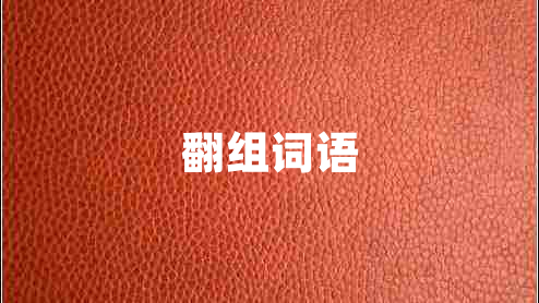 翻组词语