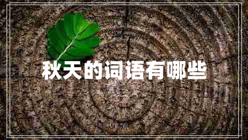 秋天的词语有哪些