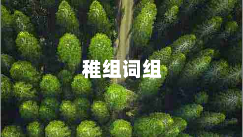 稚组词组