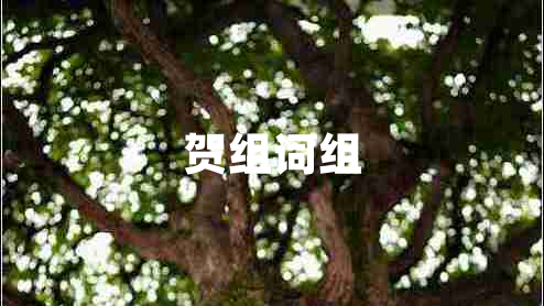 贺组词组