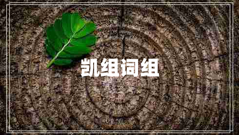 凯组词组