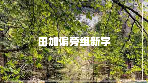 田加偏旁组新字
