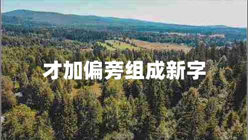 才加偏旁组成新字