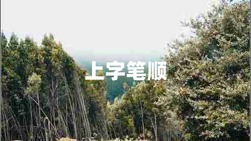 上字笔顺