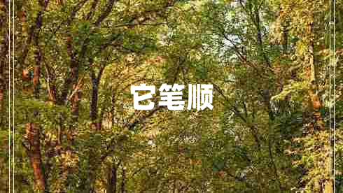它笔顺