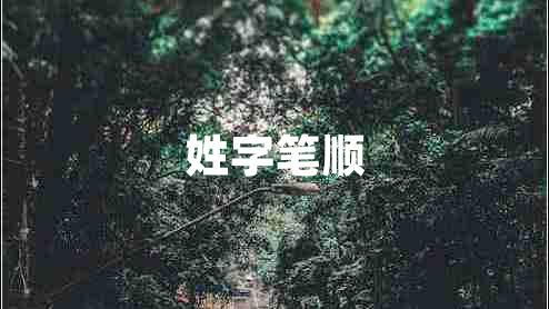 姓字笔顺