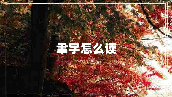 聿字怎么读