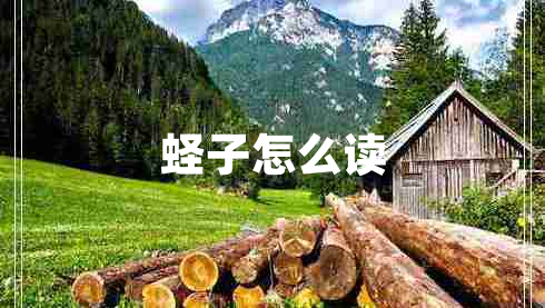 蛏子怎么读