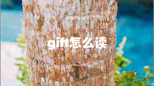 gift怎么读