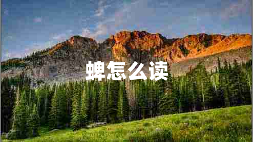 蜱怎么读