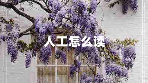人工怎么读