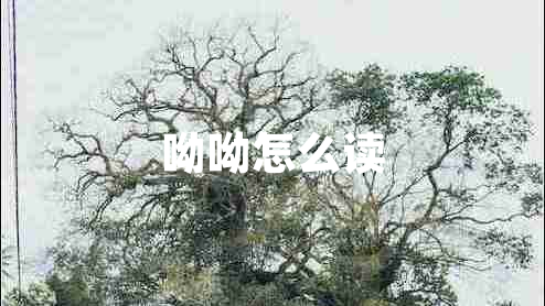呦呦怎么读