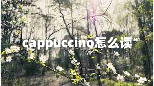 cappuccino怎么读