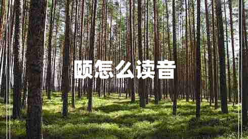 颐怎么读音