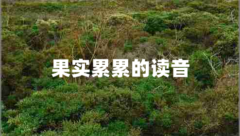 果实累累的读音