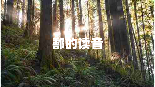 鄯的读音