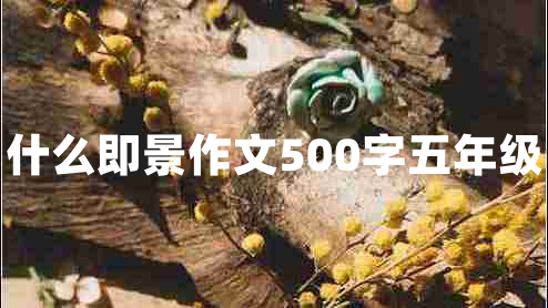 什么即景作文500字五年级
