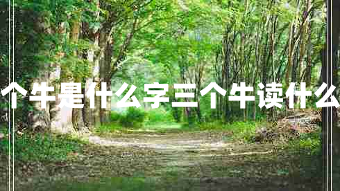 三个牛是什么字三个牛读什么字