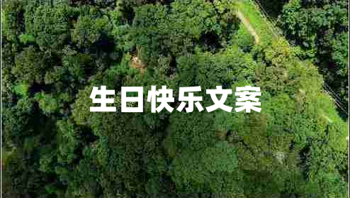 生日快乐文案