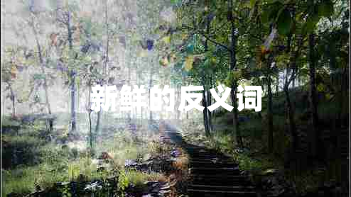 新鲜的反义词