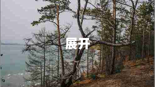 展开