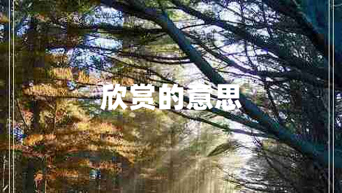 欣赏的意思