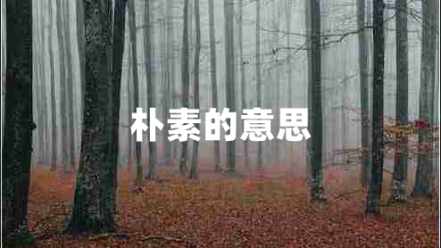 朴素的意思
