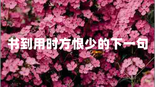 书到用时方恨少的下一句