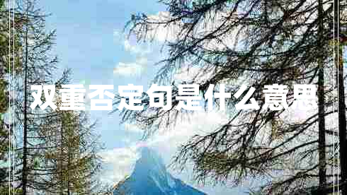 双重否定句是什么意思