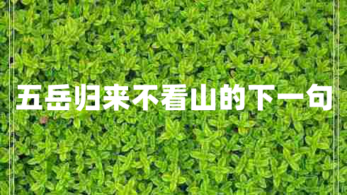 五岳归来不看山的下一句