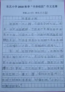 共建书香校园作文小学三级