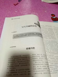 作文,家乡,校园