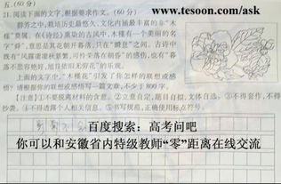 关于校园木槿花的作文800字
