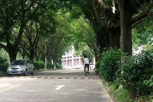 如何成为校园里的一道风景作文