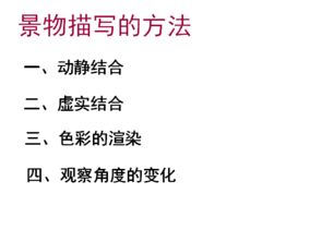 八级校园一景作文300字