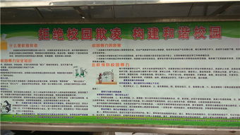 扫黑除恶杜绝校园欺凌的作文